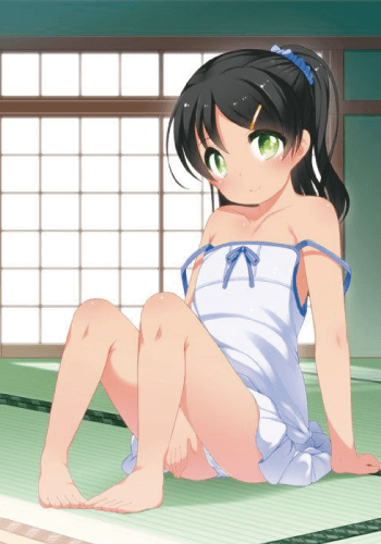 Ichinen Buri no The Animation